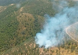Suben las temperaturas y empiezan los incendios forestales en Huelva