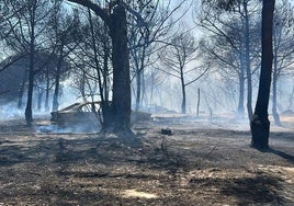 Extinguido el incendio forestal del paraje La Malvina de Moguer, del que se investiga su autoría