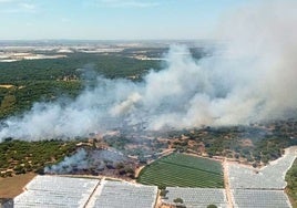 Estabilizado en Moguer el segundo incendio junto al que ya apagaron el lunes y que tuvo ocho focos