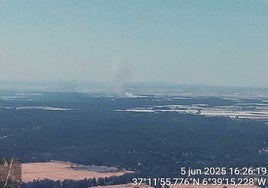 Declarado en Lucena del Puerto el cuarto incendio forestal en menos de una semana