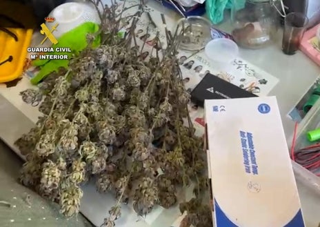 Imagen secundaria 1 - Desmantelan una organización de distribución de droga por correo con ramificaciones en Huelva