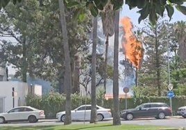 Incendio junto a la Oficina de Turismo de Ayamonte