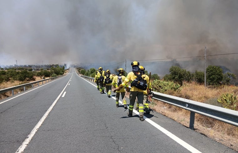 Bomberos por la A-499, cortada tras declarase el incendio