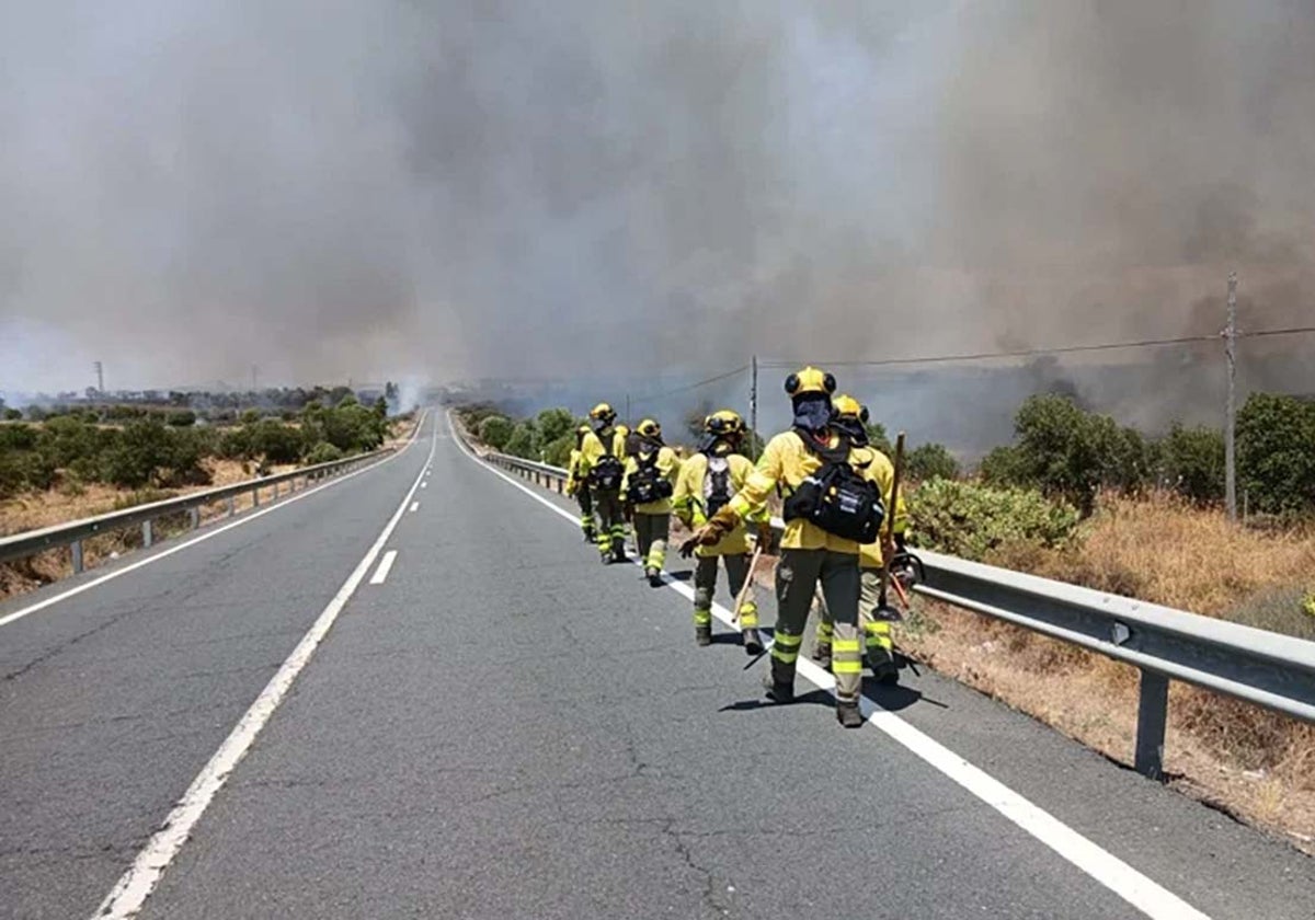 Bomberos del Infoca por la A-499 cortada por el incendio