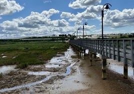 Encuentran el cuerpo de una mujer junto al Muelle de la Calzadilla de Palos