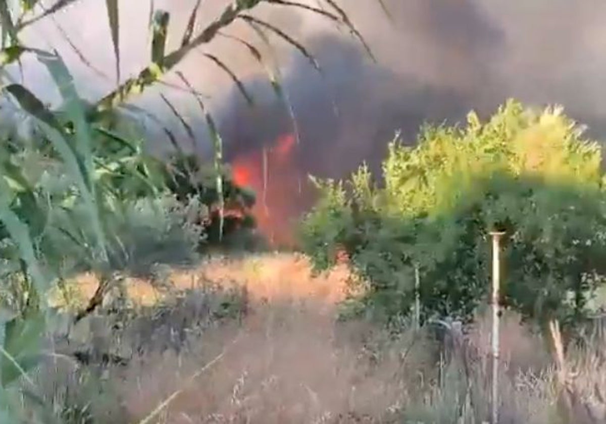 Incendio forestal en un paraje de Gibraleón