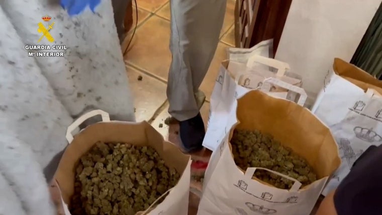 Narcotráfico en Huelva: Detienen a cinco personas entre Gibraléon y Trigueros en la desmantelación de un centro de producción de marihuana