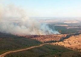 Estabilizado un incendio forestal declarado en un paraje de Escacena del Campo