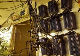Más de 1.600 fraudes eléctricos en Huelva en seis meses: la mayoría vinculados a cultivos de marihuana