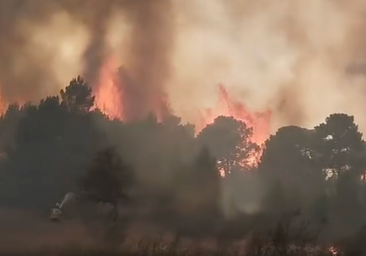 Tercera jornada de lucha contra el fuego en la sierra de Huelva en plena ola de calor