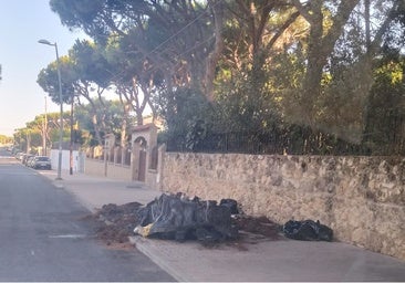 Alarma en Mazagón: prenden fuego a varios contenedores de basura y las llamas se quedan a las puertas de las casas