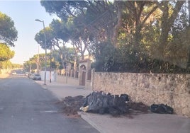 Alarma en Mazagón: prenden fuego a varios contenedores de basura y las llamas se quedan a las puertas de las casas