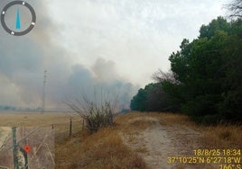 Se declara un fuego en el paraje Matalagrana, cerca de Doñana