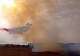 Los bomberos también extinguen el incendio de Hinojos en menos de 24 horas