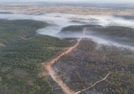 El Infoca da por extinguido el incendio forestal de Aroche y por controlado el de Aracena