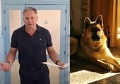 Envenenan por venganza al perro del alcalde de Paterna del Campo: «¿Quién es tan canalla y cobarde?»