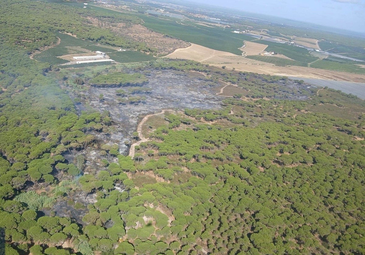 Incendio iniciado de madrugada en un paraje de Gibraleón
