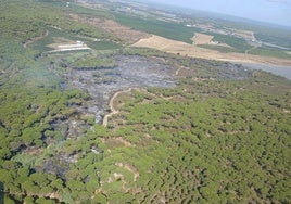 Estabilizado el incendio declarado en el paraje Cañada del Corcho de Gibraleón
