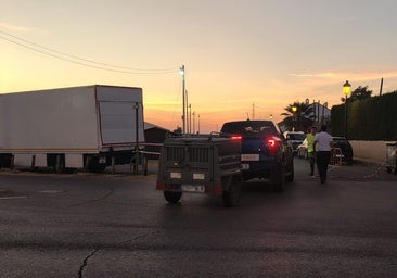Denuncian la muerte de una llama en la Feria de Cartaya "tras varias horas agonizando sin ser atendida"