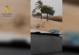 La Guardia Civil rescató en Ayamonte a una mujer atrapada en su vehículo con el agua a la altura del cuello