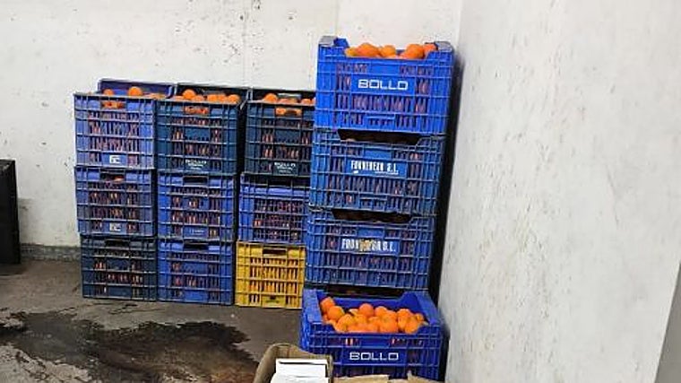 La Policía Local incautó 14 cajas de mandarinas en el mercadillo de Huelva capital