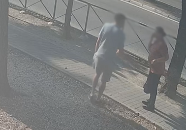 Una cámara de seguridad graba cómo un delicuente aborda a una persona mayor