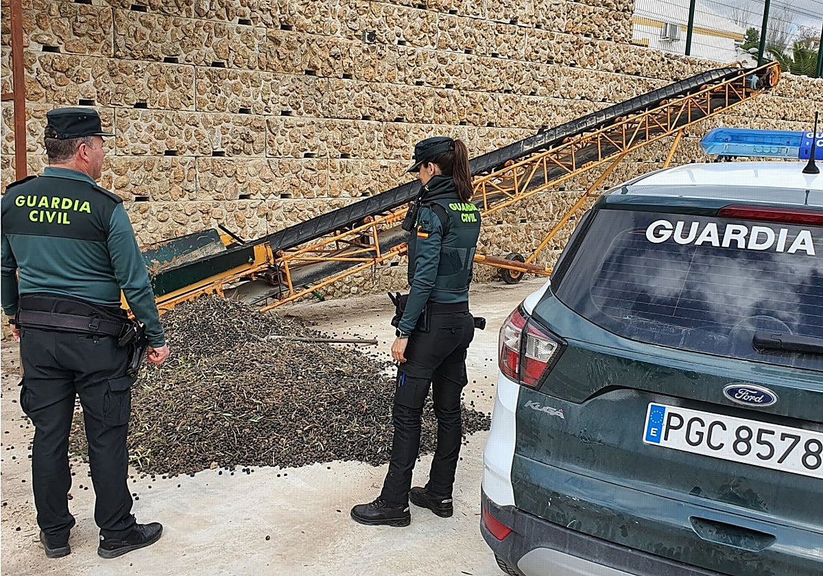 Agentes de la Guardia Civil junto a una incautación de aceitunas