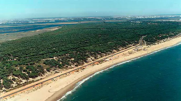 Vista aérea de la playa de los Enebrales