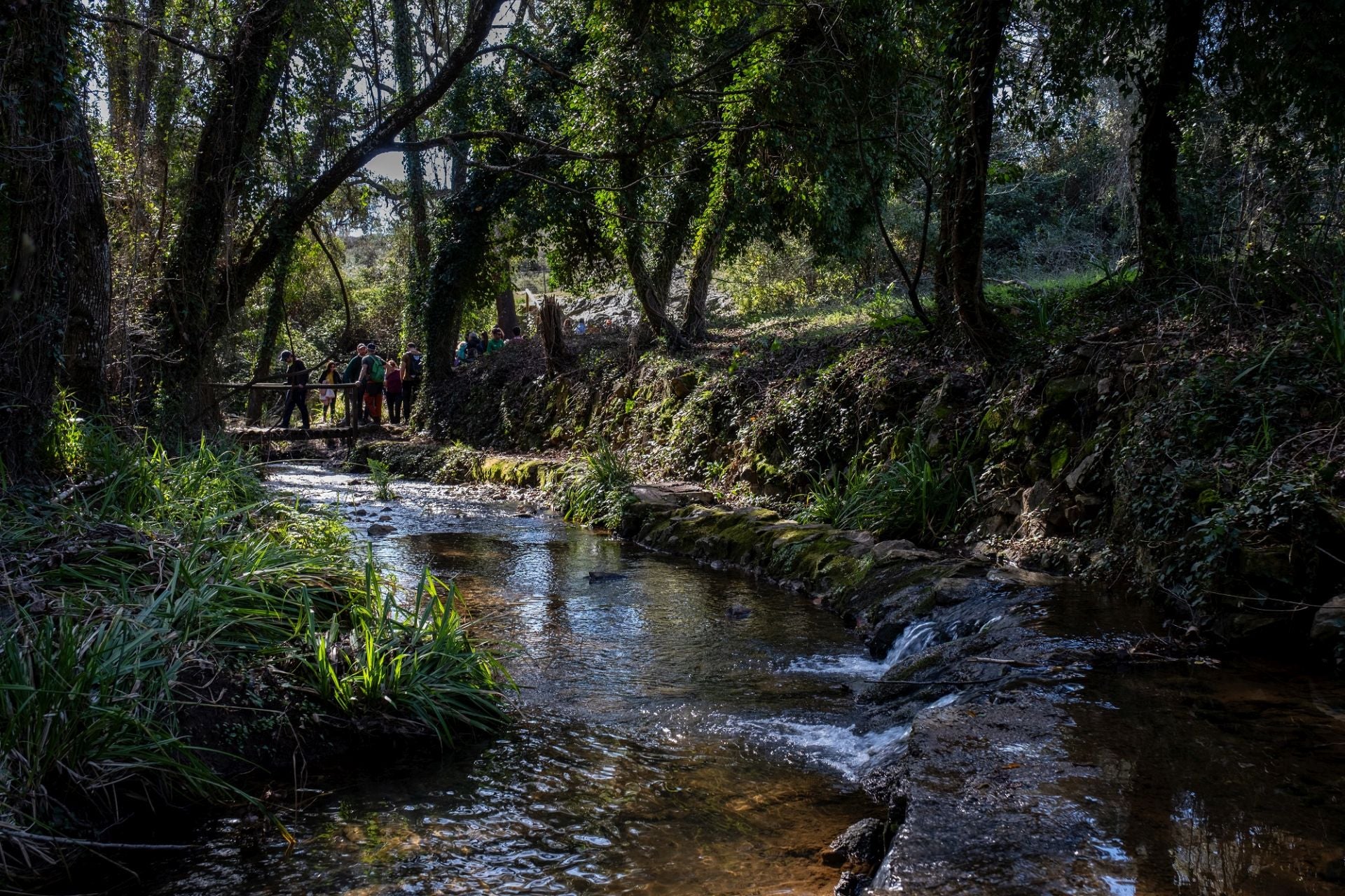 Sendero de la Sierra de Huelva