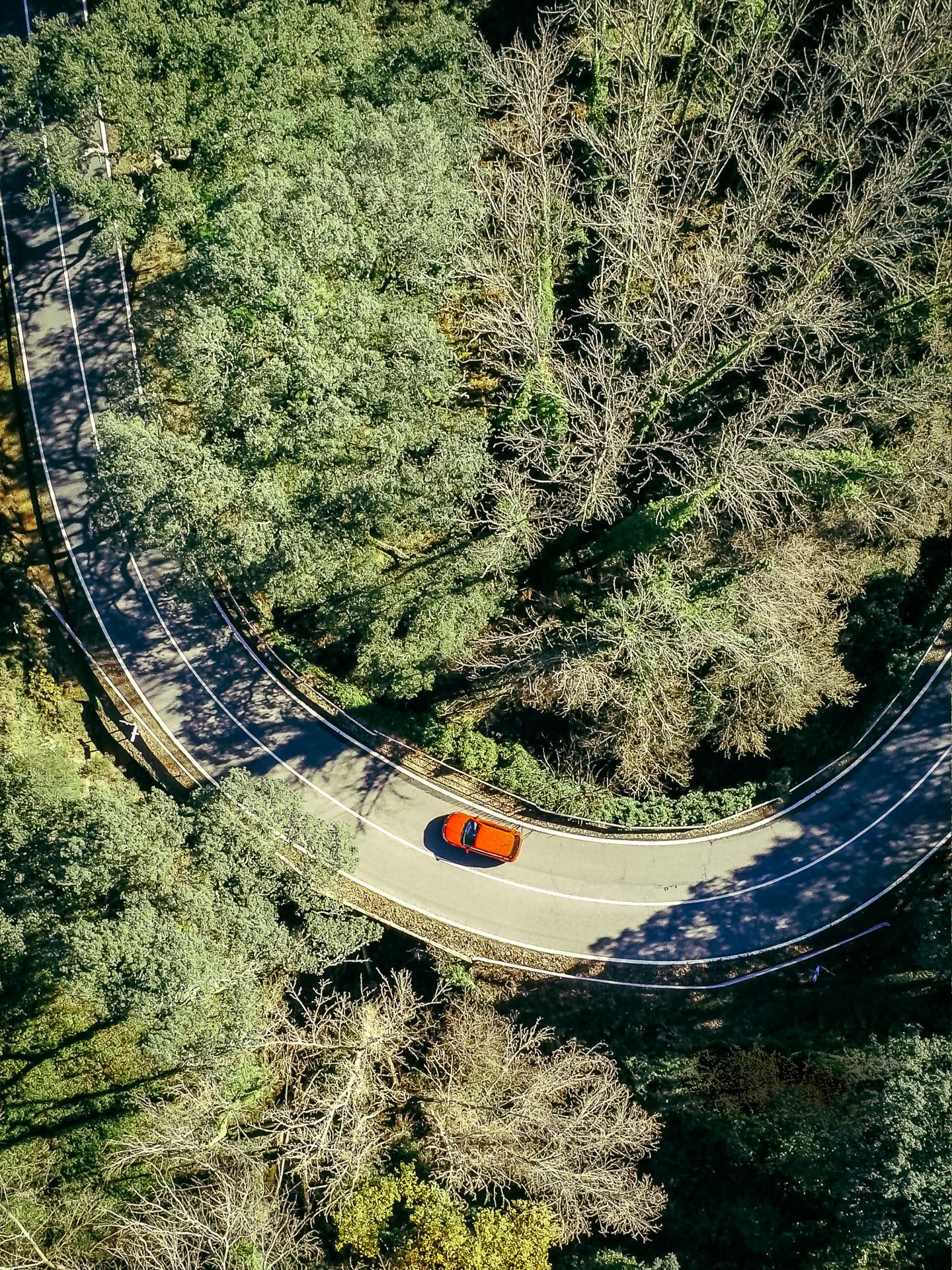 Carretera desde Los Marines hasta Aracena