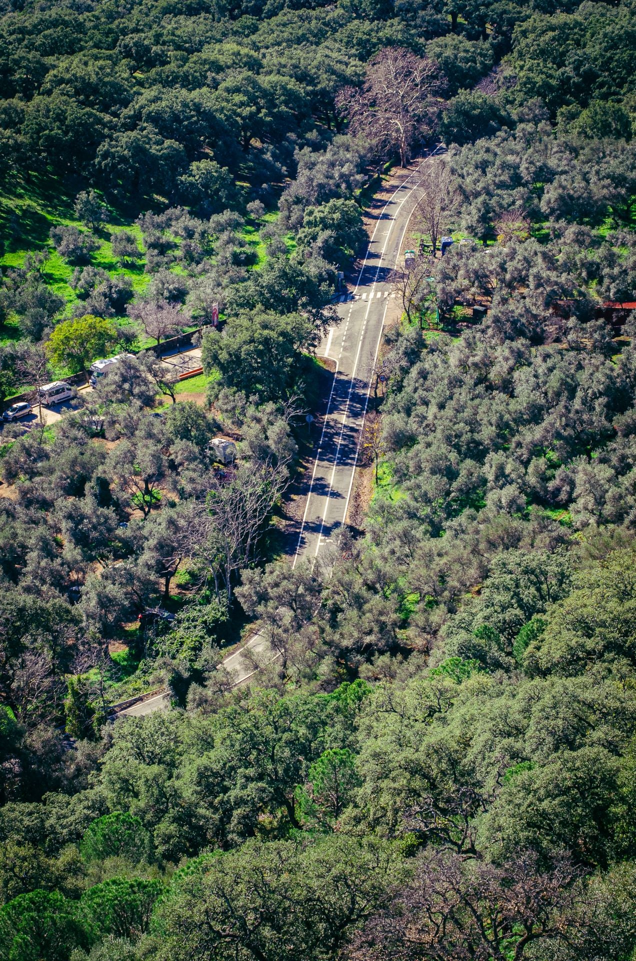 Carretera de Huelva