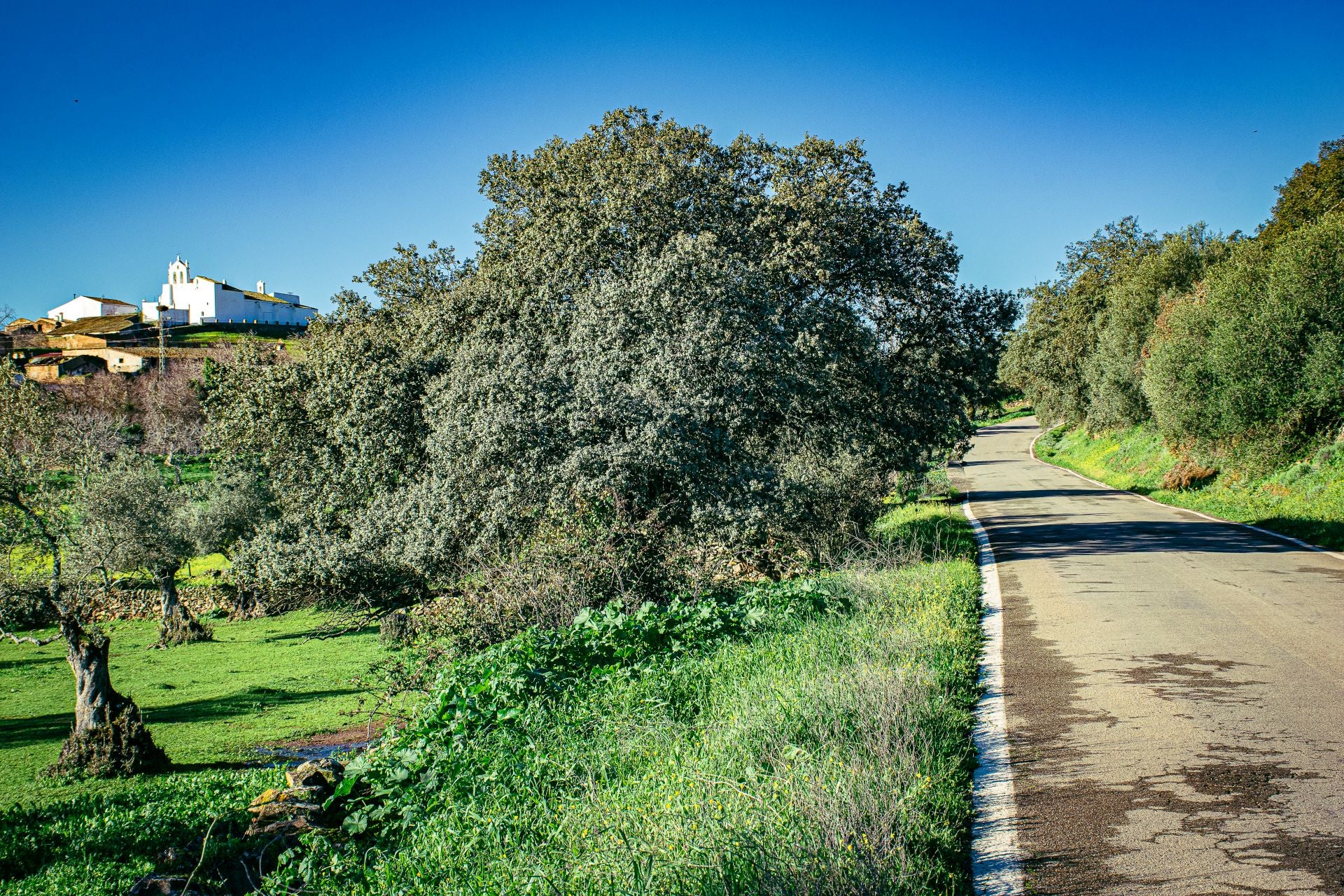 Un recorrido por las carreteras de Huelva, en imágenes