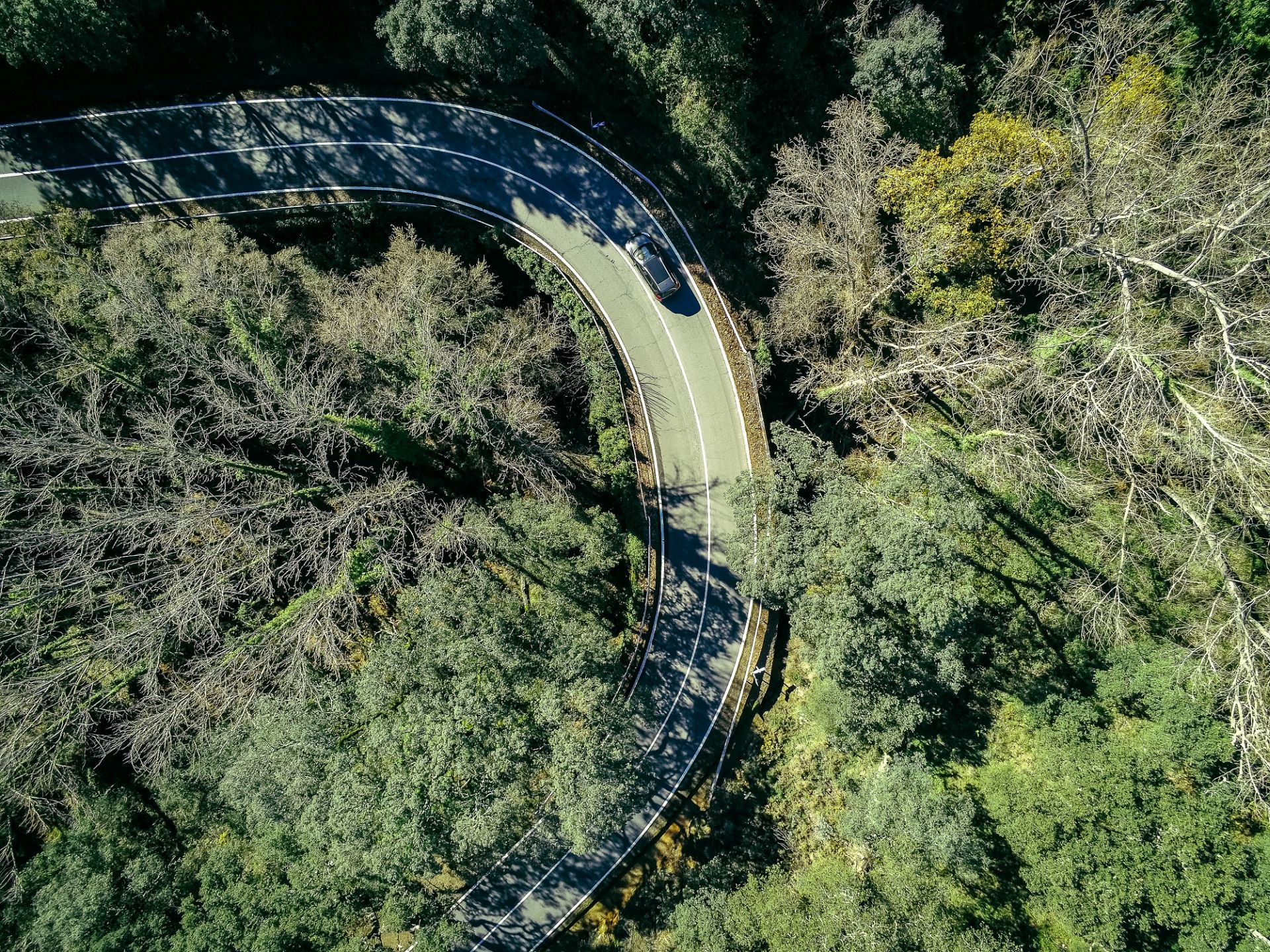 Carretera de Los Marines