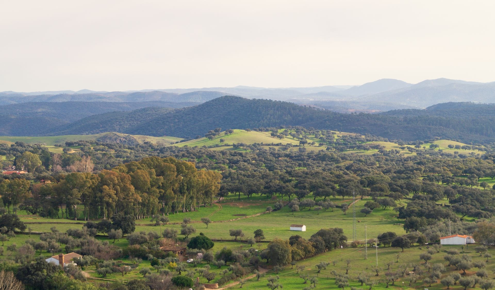 Vistas de la Sierra de Aracena