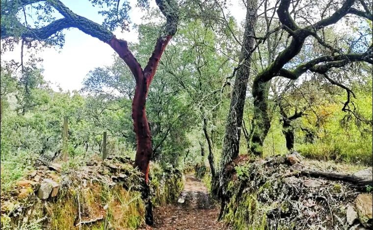 Ruta de Los Molinos de Agua