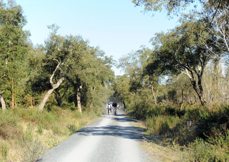 Imagen secundaria 1 - Cumbres Mayores - Vía verde de los Molinos del Agua - Camino hacia Cumbres Mayores