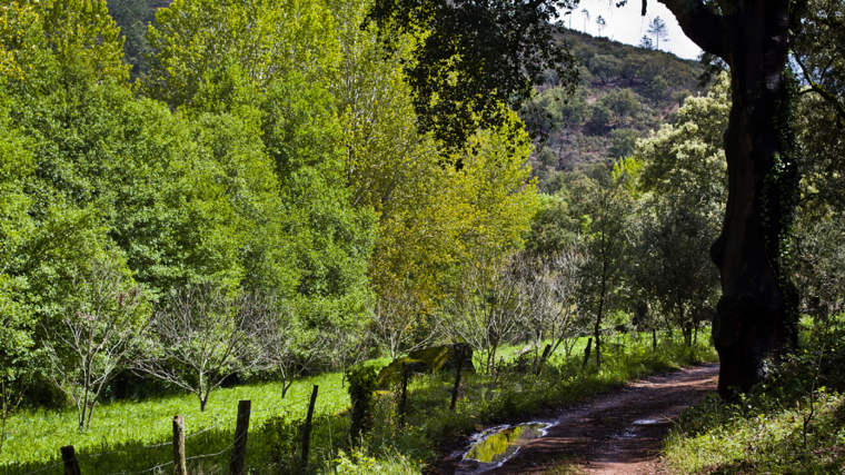 Sendero serrano