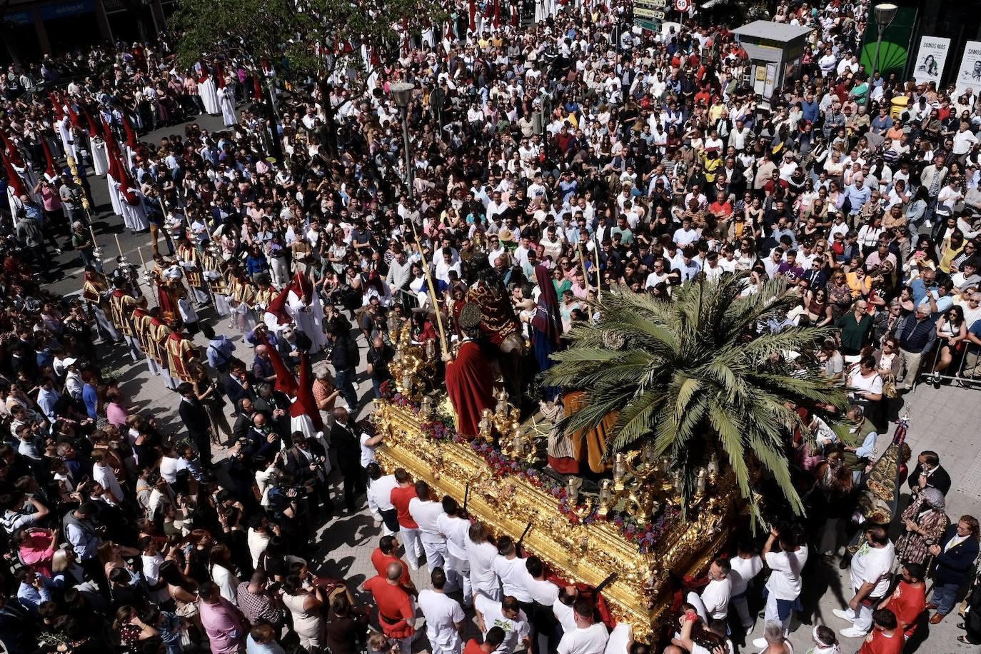 Fotos: la Borriquita ya luce en procesión en este Domingo de Ramos