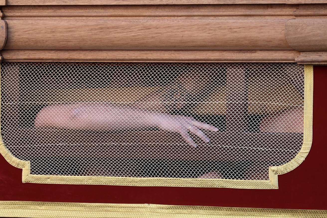 Fotos: el Despojado de Cádiz en su Domingo de Ramos de la Semana Santa 2023