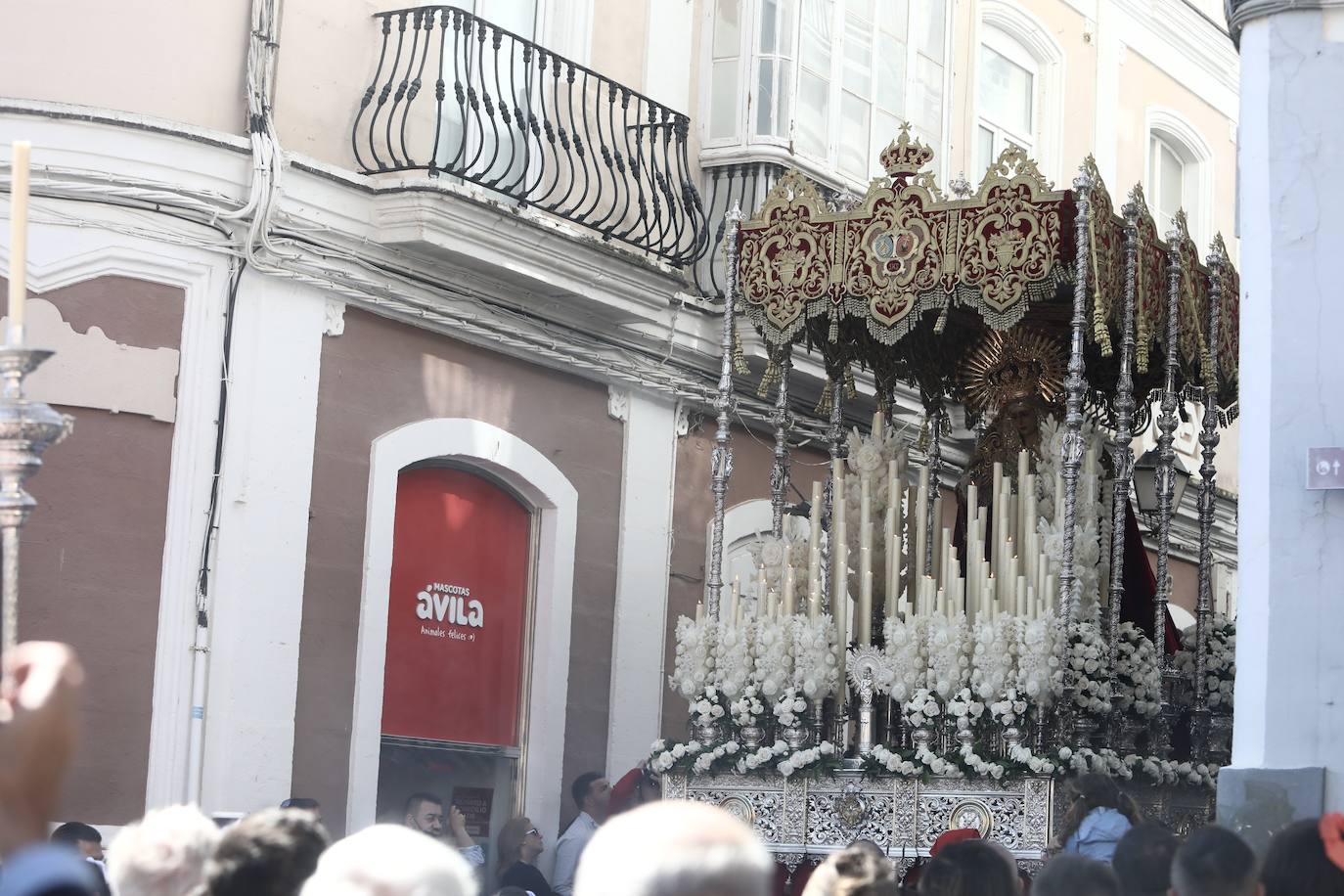 Fotos: Las Penas y su andar por las calles de Cádiz en este Domingo de Ramos