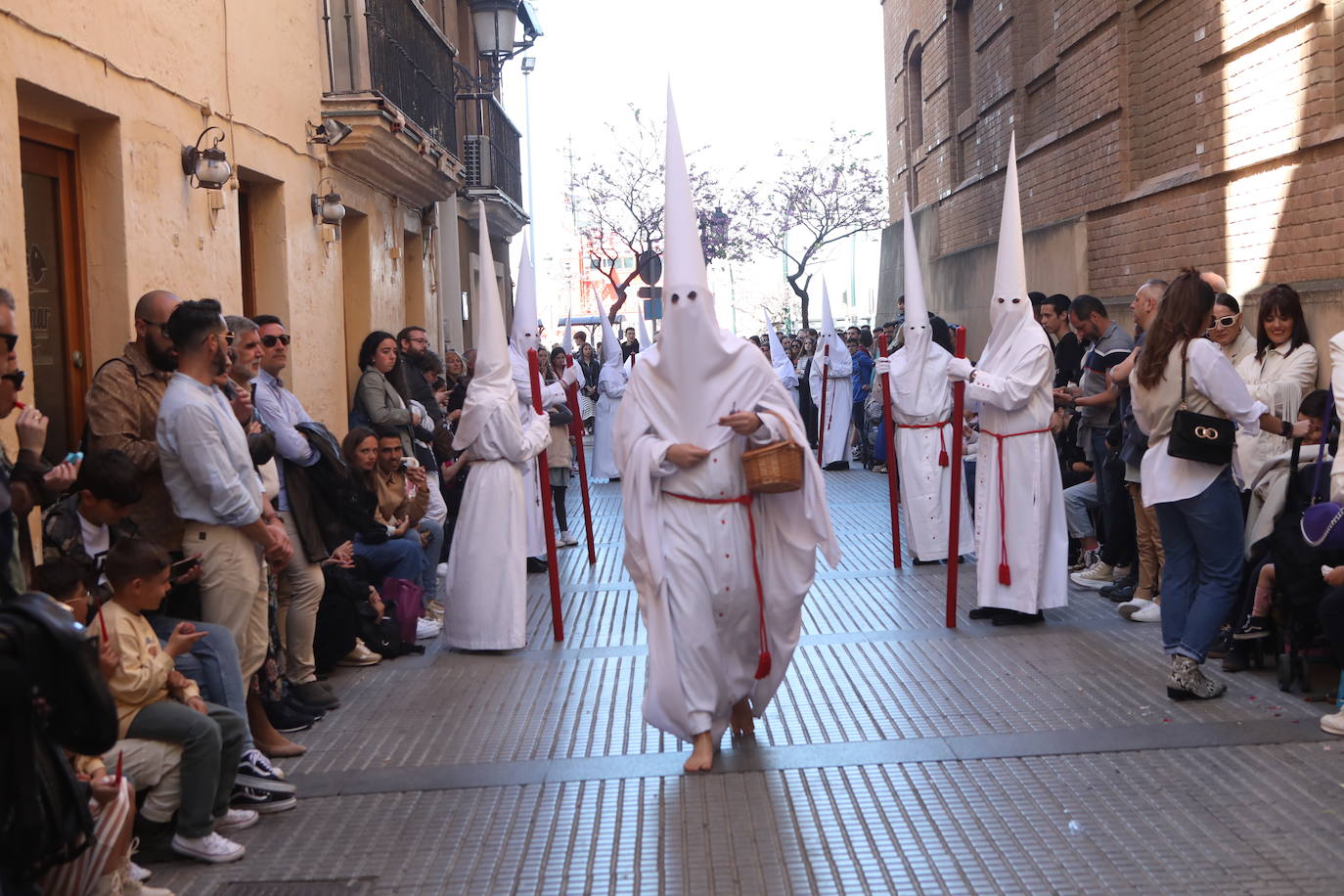 Fotos: La Sagrada Cena en su desfile del Domingo de Ramos en Cádiz