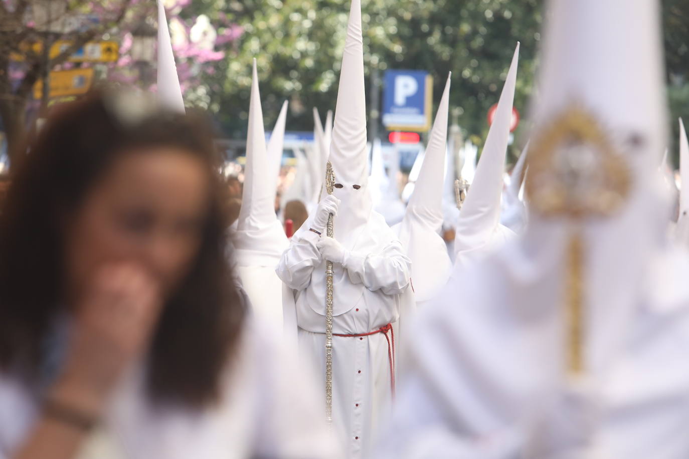 Fotos: La Sagrada Cena en su desfile del Domingo de Ramos en Cádiz