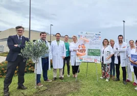 Actividades en la provincia de Cádiz con motivo del Día Nacional del Donante de Órganos y Tejidos 2023