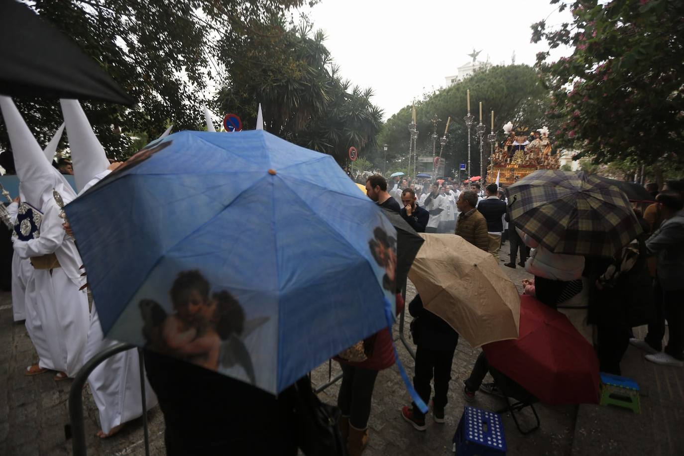 Fotos: El Despojado en el Domingo de Ramos en la Semana Santa de Cádiz 2024