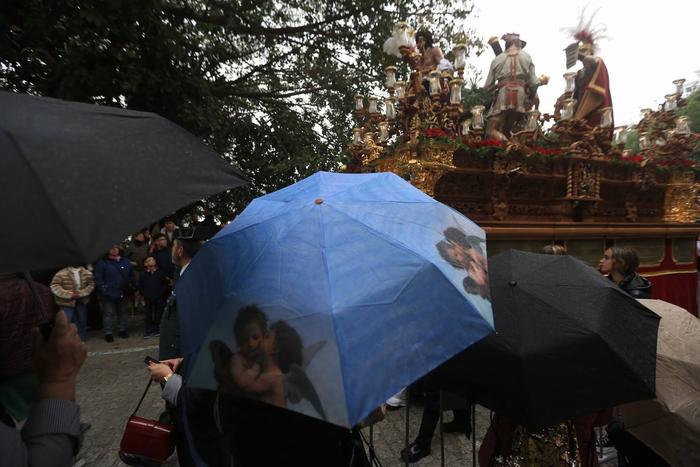 Fotos: El Despojado en el Domingo de Ramos en la Semana Santa de Cádiz 2024