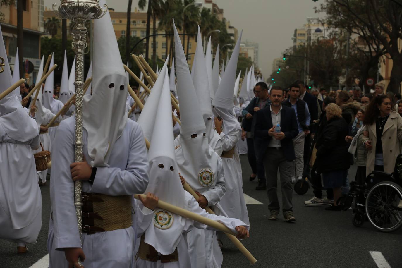 Fotos: El Despojado en el Domingo de Ramos en la Semana Santa de Cádiz 2024