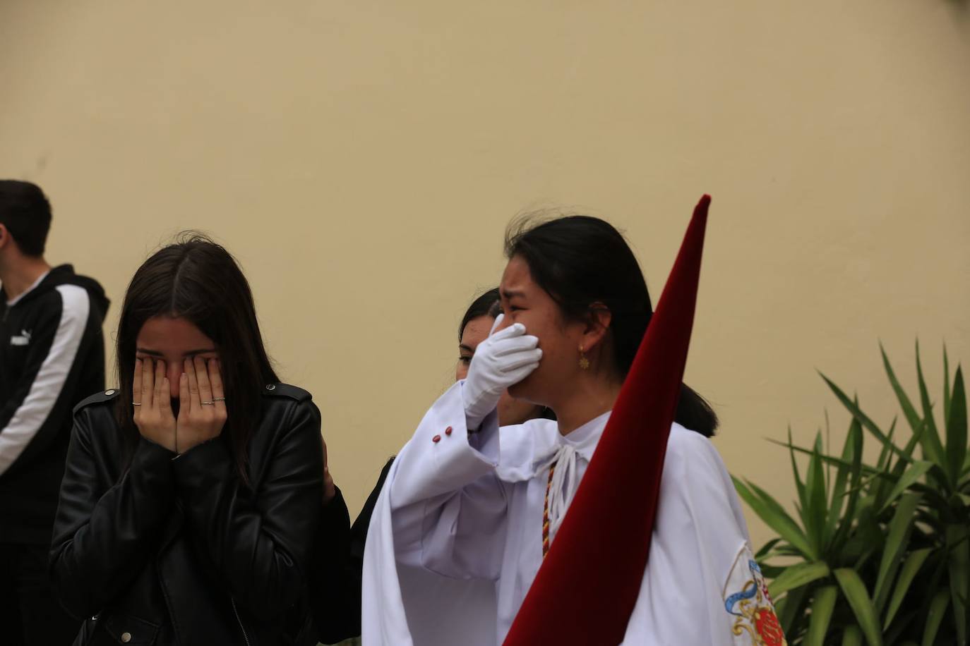 Fotos: La Borriquita el Domingo de Ramos en la Semana Santa de Cádiz 2024