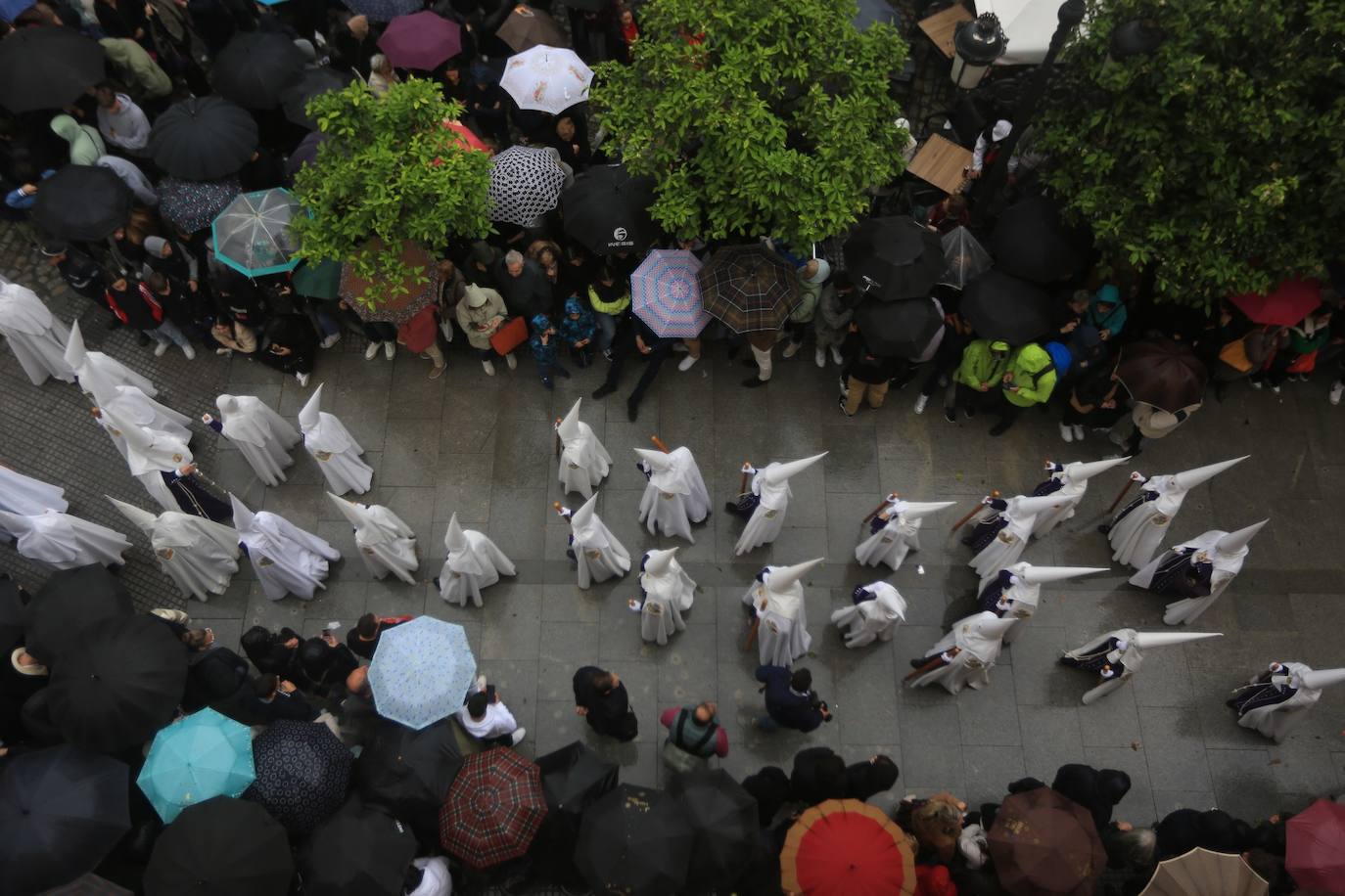 El Nazareno del Amor en el Lunes Santo en la Semana Santa de Cádiz 2024