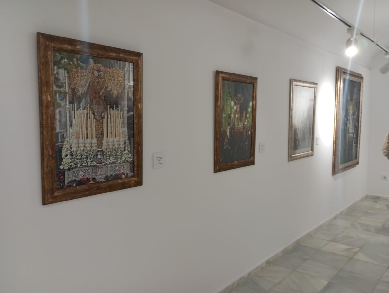 Fotos: La exposición Trazos Cofrades ya se puede visitar en la calle Ancha de Cádiz