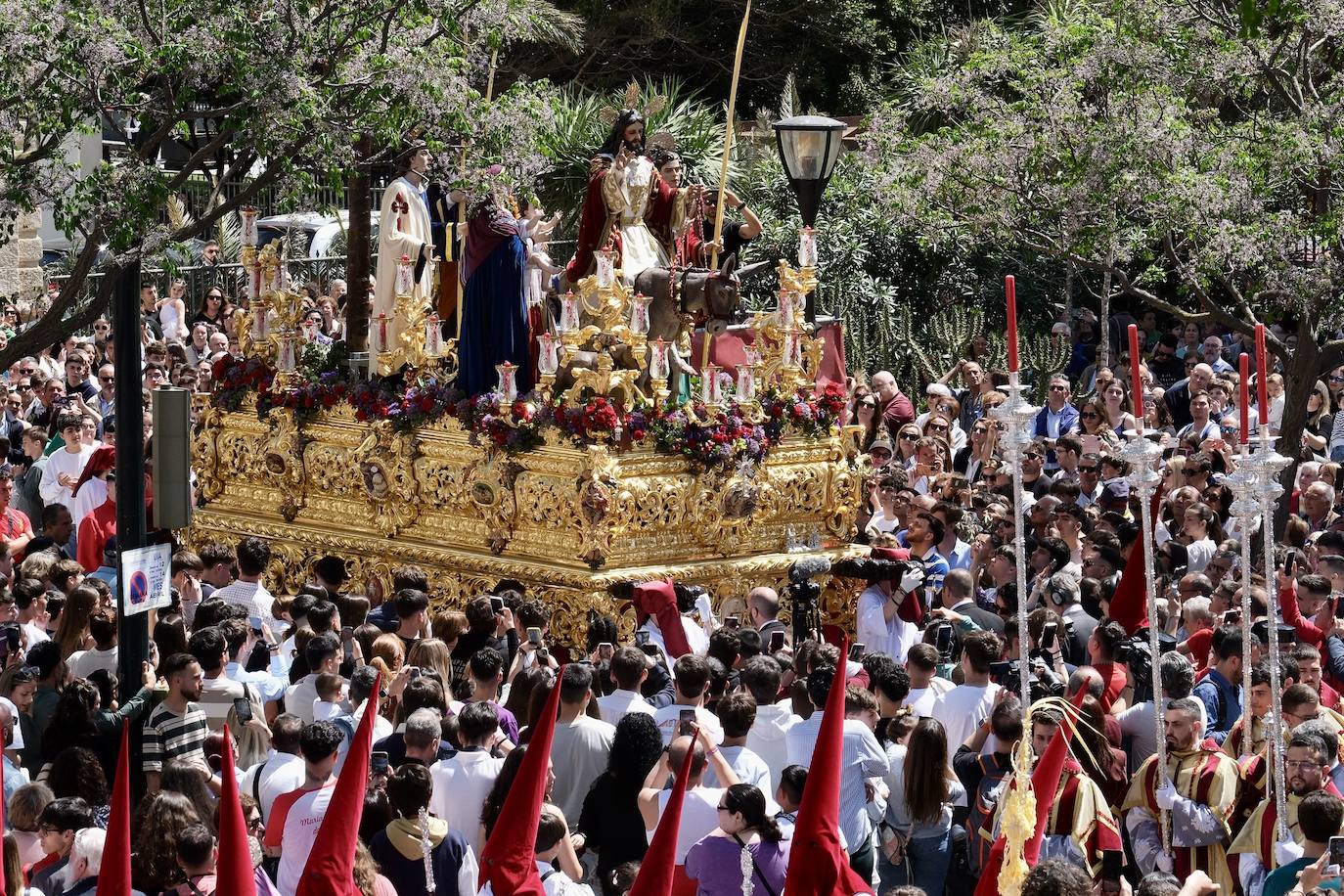 Las imágenes de la Borriquita en la Semana Santa de Cádiz 2025
